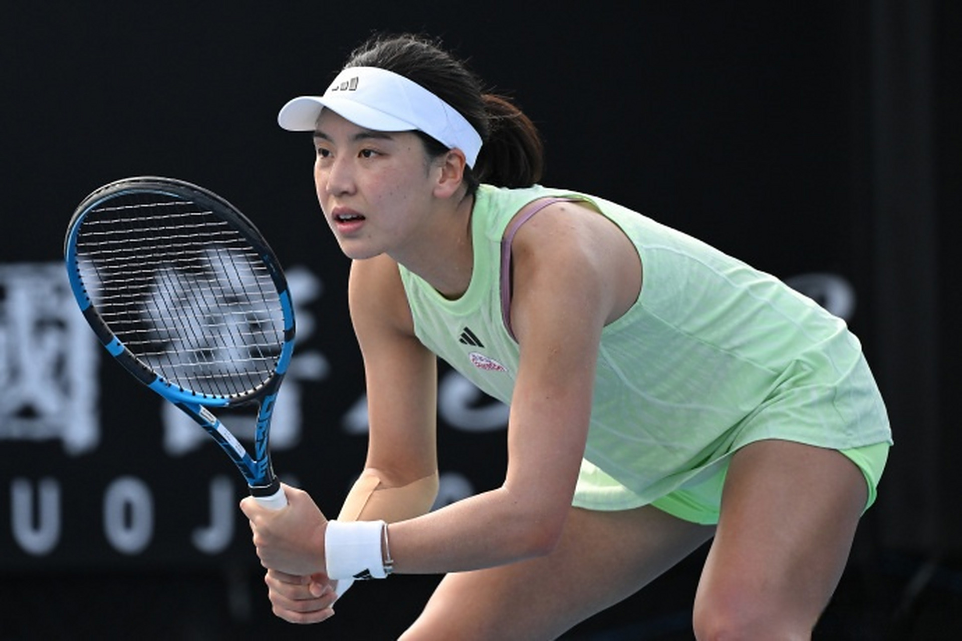 亚历山大等 亚历山大等